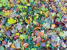 Maintenir sa forme en automne, renforcer son organisme avant l’hiver