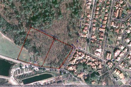 implantation BNB.jpg