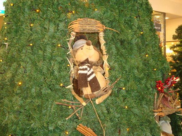 VOILA JAIS FAIS POUR VOS PETIT UN ALBUM PHOTOS