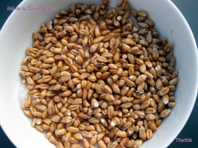 Le blé de la Sainte Barbe