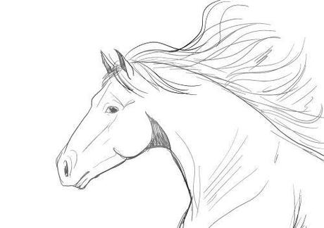Portrait animalier : Un cheval ('Sand Horse')