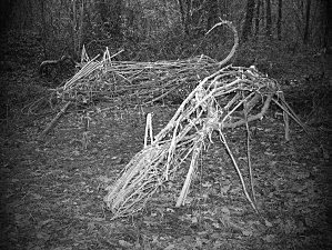 5 photographies identiques .