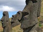 L'écologie service consommation