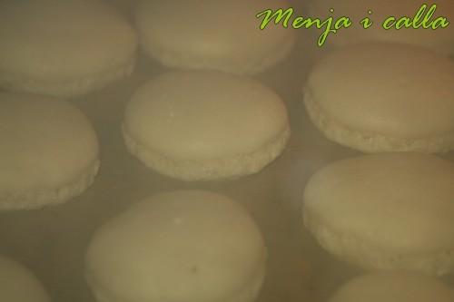 Coques de Macarons
