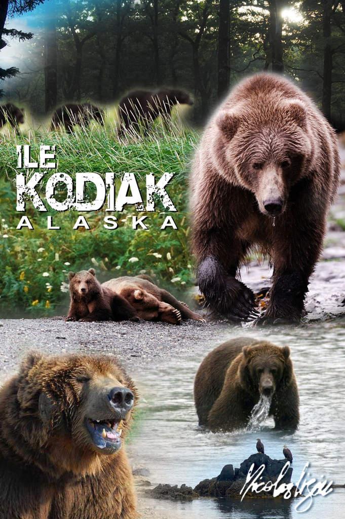 Création Nicolas - Affiche l'île Kodiak