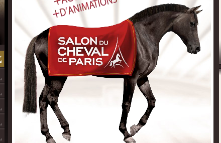 Salon du Cheval Paris 2009, cavaliers amateurs et professionnels, csi 5* equestrian masters