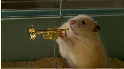 The drench Clever Hamsters jazz band