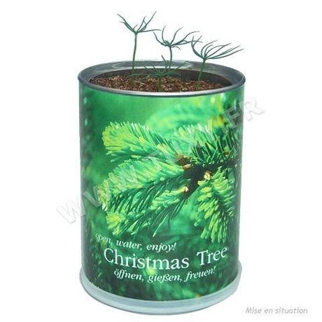 Mon beau sapin, roiiiiii de forêts ..... sapin-noel-canette-img480_480____mf0010-4_1255.jpg