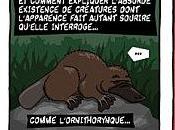 chaussette quand t'égares!