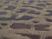 réfugiés climatiques quel constat, statut, quelles aides nécessaires