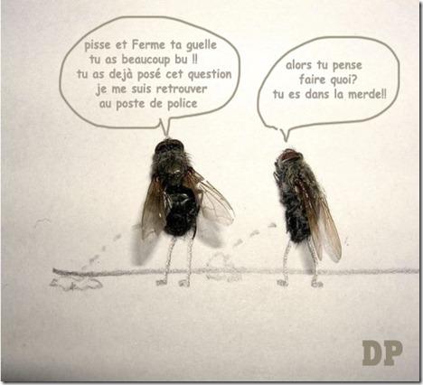 حسن وحسين  apres avoir bu 24 boites