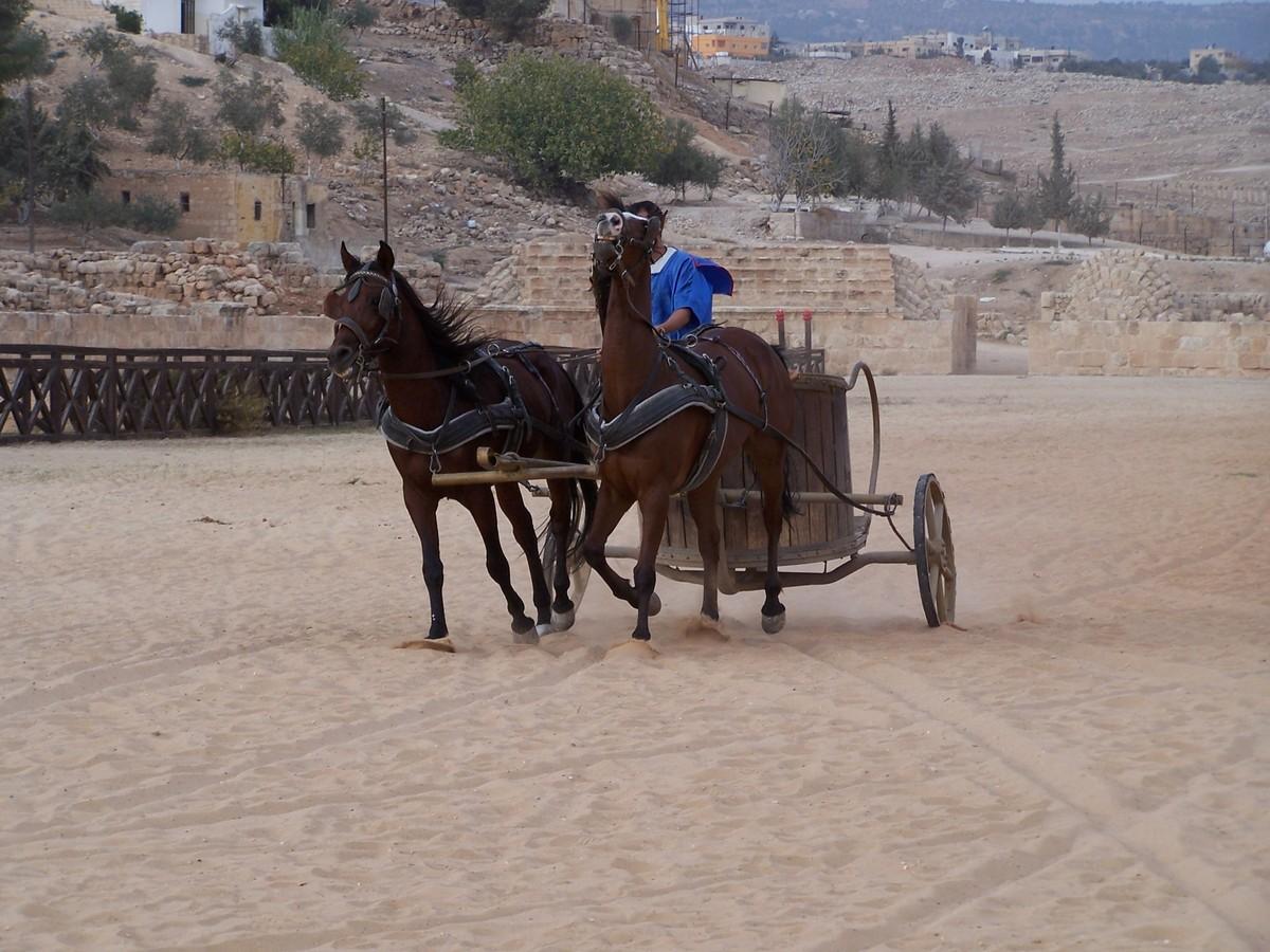 JORDANIE 2 : JERASH ET AUTRES SITES.