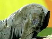 Ligue 11ème Journée