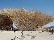 conseil-developpement-durable-ecologie-industrielle