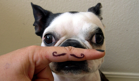 Téléchargez Perfect Sale, e-commerce open source