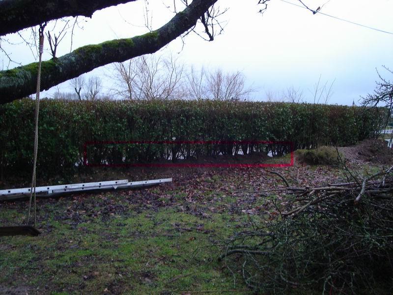 Plessage des haies du Perche