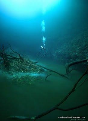 Cenote: Un fleuve au fond de l'eau