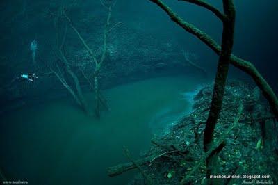 Cenote: Un fleuve au fond de l'eau
