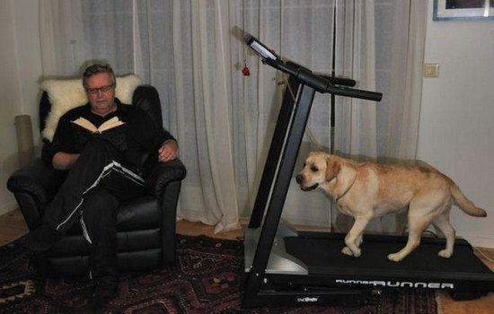 Les images insolites du jour