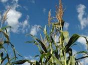 transparence Conseil d'Etat aujourd'hui régime d'exception