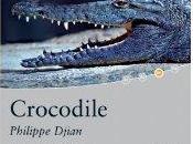 Crocodiles Djian