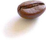 coffee_bean