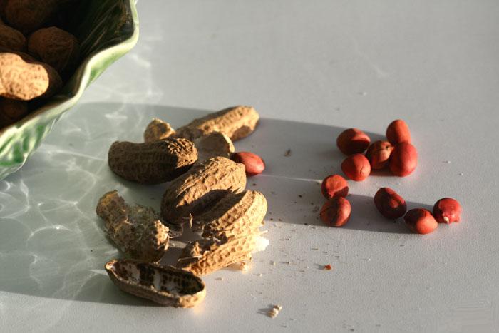 Peanut arachide amendoim  花生