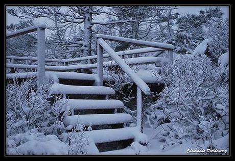 Ma galerie Flickr ! Le Chemin des Boeufs, à Mirande