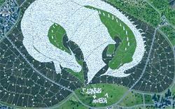 Cities XL : bus, carambolages, dragon, manifestations, New-York, …