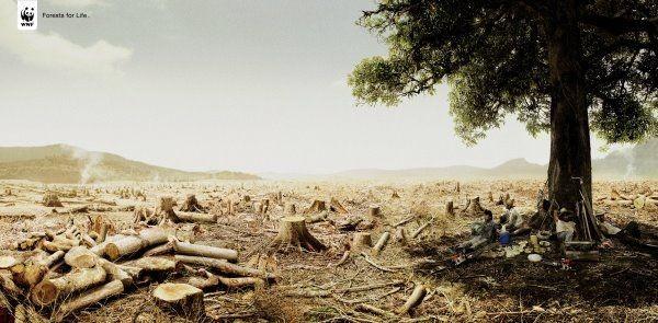 wwf urgence climatique La compile WWF pour lUrgence Climatique ...