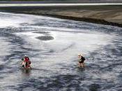 idées sortie pour novembre 2009