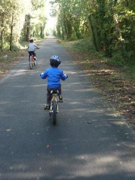 Les photos de la vie