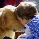 thumbs lamitie animal 001 lamitié animal (12 photos)