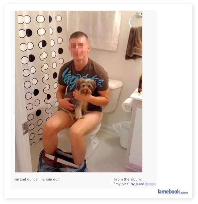 Une petite série photos que l'on peut trouver sur facebook