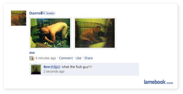 Une petite série photos que l'on peut trouver sur facebook