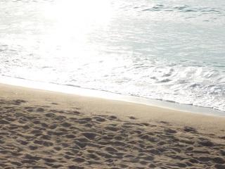 Image hébergée par servimg.com