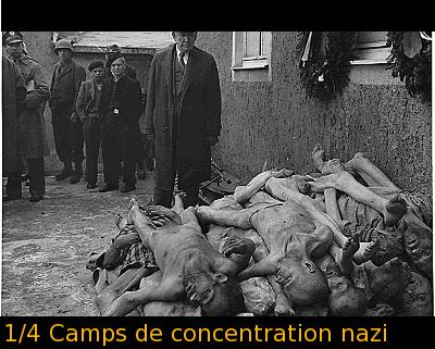 1/4 Camps nazi