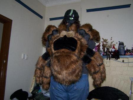 Le sac a dos tarantule