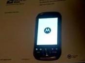 Motorola prépare Opus mais pour l’Europe