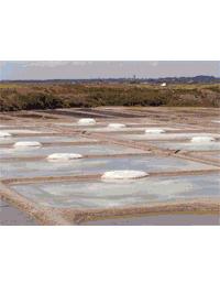 sel alimentaire production de gros sel gris naturel dans les marais de guerande