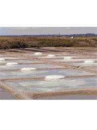 sel alimentaire production de gros sel gris naturel dans les marais de guerande