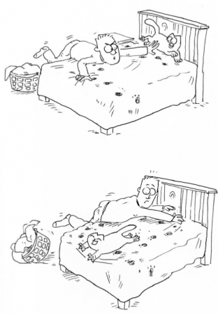 Simon's Cat sur ActuaLitté : changer ses draps et son chat (7)