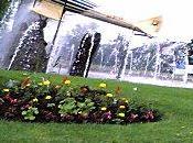 Bloody Money: chapitre