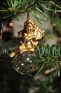 veloutébiscuits 095