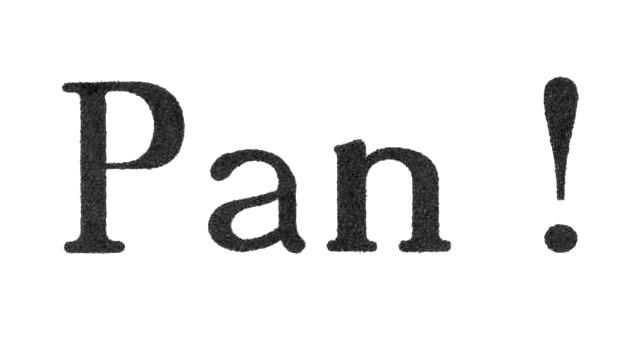 pan-pan_modifie-1.1260823055.jpg