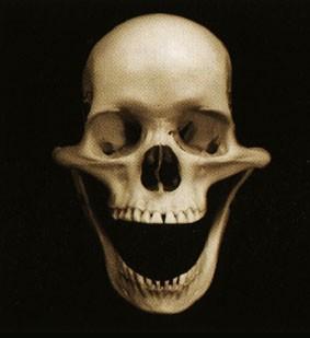 L’ironie est le propre de l’Homme