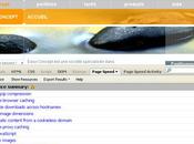 Page speed aide minimiser temps chargement pages