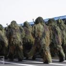 thumbs les meilleures photos 2009 selon life 025 Les meilleures photos 2009 selon LIFE (47 photos)