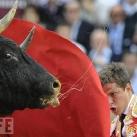 thumbs les meilleures photos 2009 selon life 026 Les meilleures photos 2009 selon LIFE (47 photos)