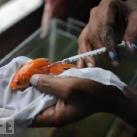 thumbs les meilleures photos 2009 selon life 039 Les meilleures photos 2009 selon LIFE (47 photos)